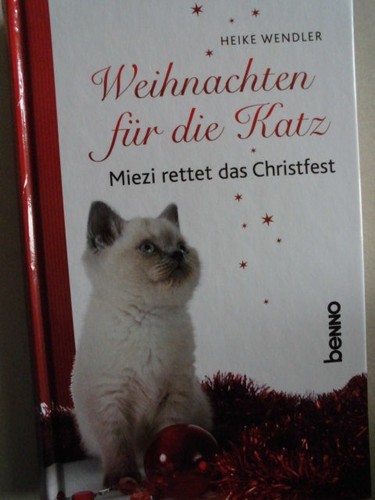Weihnachten für die - , katz