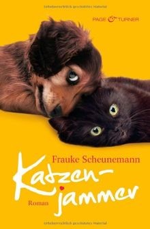 Katzenjammer band roman - band,