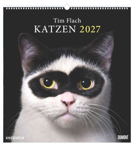 Tim flach katzen - katzen, 2027