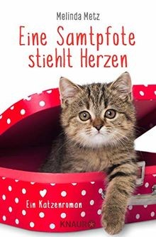 Eine samtpfote stiehlt herzen - stiehlt,